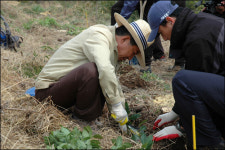 외국인들도 노무현 전 대통령 보러 봉하마을 찾아