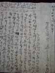 대학교 박물관이 이쯤은 돼야지!