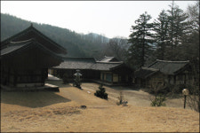 마음의 보석을 찾으러 아름다운 전나무 숲길에 들다