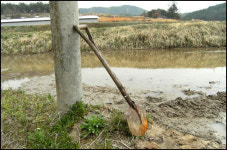 어라! 눈 씻고 찾아봐도 대문이 없네?