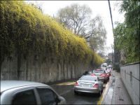 양녕과 효녕의 발자취를 따라 걷다