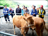 우시장 농민들도 탄핵 서명 이야기뿐