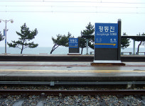 무엇이 우리를 정동진역으로 가게 하는 것일까?