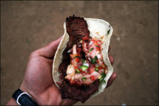 240만 마리의 나비 떼... 숨 막히네