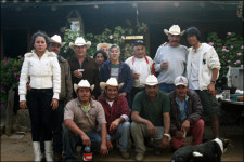 240만 마리의 나비 떼... 숨 막히네