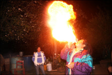 240만 마리의 나비 떼... 숨 막히네