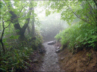 안개와 함께 지리산 능선 길을 걷다