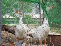 길을 잃어 들어선 낯선 동네... 더 끌리네