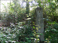 이름 잃어 버린 폐교 운동장에는 풀만 우거져