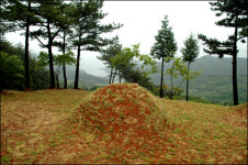 박경리 선생 묘소에 비석 안 세운다