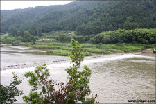 예전엔 섬진강에 다슬기 살았답니다