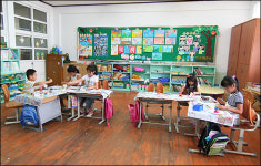 바다를 보면 거북이나 꽃게를 키우고 싶어요