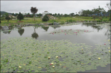 그곳에 가면 색다른 한우농가가 있다