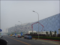 올림픽 도시의 불청객들 높으면 고개만 아프지