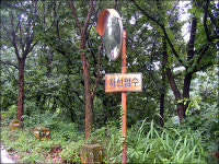 호명산 정상에는 천지가 있다네