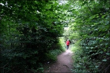 해를 묶어 놓고 하루 만에 만들었다는 마애불