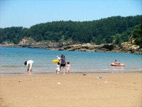 깨끗해진 태안 구름포 내년에 만나요