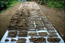 한 사람, 한 사람 머리를 쏘아가며 학살