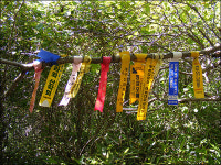 두문동재에는 가을을 여는 바람이 분다