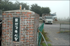 이러다 소키우는 사람 다 죽겠네요