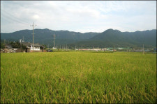 힘내라! 고향 지키는 모든 모지리들이여