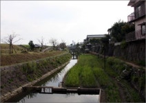 청계천에 없는 2%, 여기 있었네