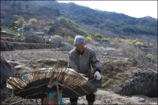 배고픈 곰도 어슬렁, 하늘아래 첫동네
