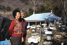 배고픈 곰도 어슬렁, 하늘아래 첫동네