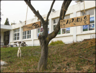 이거 찍어봐! 우리 집엔 초가집도 있어!