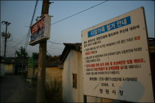매립으로 흥한 도시, 다시 매립 혁명을 꿈꾼다