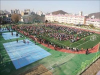 인조잔디 운동장 느는데...유해성 논란에 불안