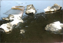 이천 화재 후폭풍... 장암천 기름띠 몸살