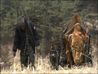 <워낭소리>, 다큐 최고 흥행작 될 수 있을까?