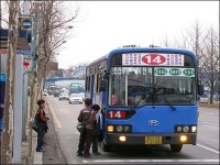 그들의 삽질이 동네에만 머물렀으면...
