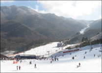 보드가 어렵다면 도전하면 되고...