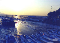 계산기 다시 두드려 봐... 나, 개펄이라니까!