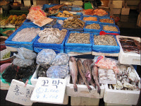 월급 50% 삭감 이력서 30통... 설이 불편한 사람들