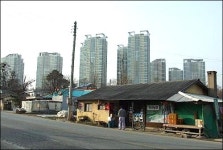포도밭 너머로 보이는 삼성트라팰리스