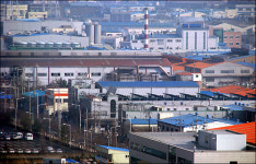 저 잘렸어요... 어디 일자리 없을까요?밀린 월급 받기 전엔 집에 오지 말래요