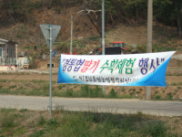 통일 딸기, 올해는 수확 못하는 사연