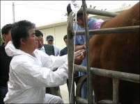 230kg 감량한 순이야! 마음껏 먹으렴