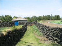 제주 올레길, 진짜배기 체험하려면