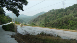 아뿔싸! 가는 날이 장날?