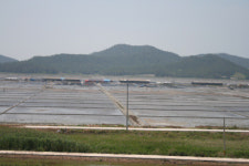 미리 가본 피서지, 증도