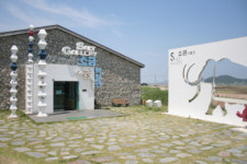 미리 가본 피서지, 증도