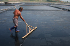 미리 가본 피서지, 증도