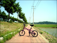 4대강 자전거도로에서 이런 모습 볼 수 있을까?