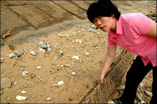 람사르 자랑했던 생태하천도 폭우에 와르르