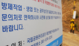 검은 재앙에 문 닫은 태안 해수욕장, 1년 만에 희망을 품다