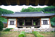 나무는 살아남았고, 사람들은 과거를 잃었다